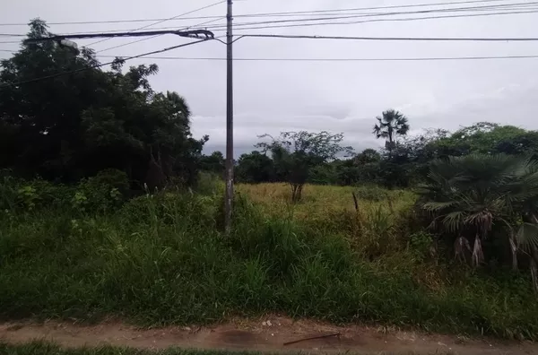 Terreno Comercial com 500m2 no Dom Expedito, por trás da Renault - Foto 6