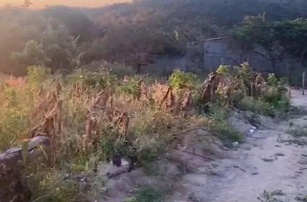 COMPRE JÁ Terreno  COM 10 X 26M no Sitio Santo Antônio Dos Fernandes, Meruoca