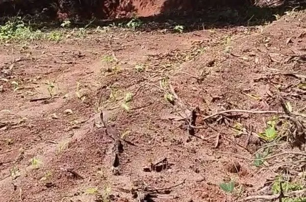 COMPRE JÁ Terreno  COM 15 X 30M no Sitio São Francisco, Meruoca