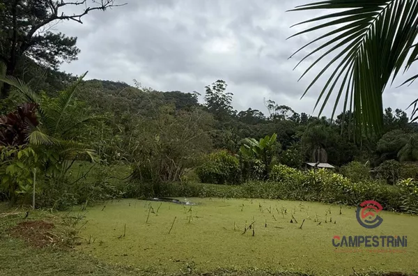 Sítio para venda,  Rio Cunha, Rio Dos Cedros