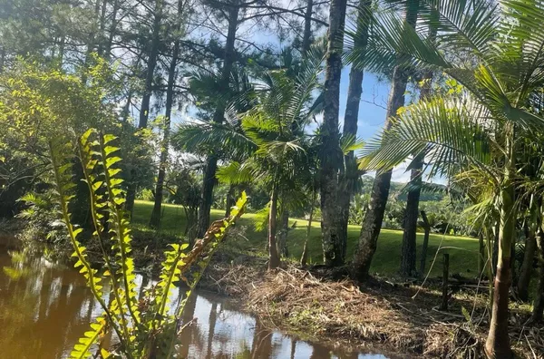 Sítio para venda,  Santo Antonio, Rio Dos Cedros