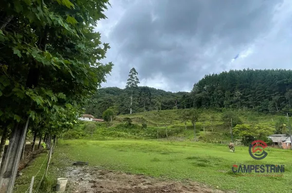 Terreno para venda,  Rio Rosina, Rio Dos Cedros