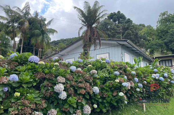 Casa para venda,  Palmeiras, Rio Dos Cedros