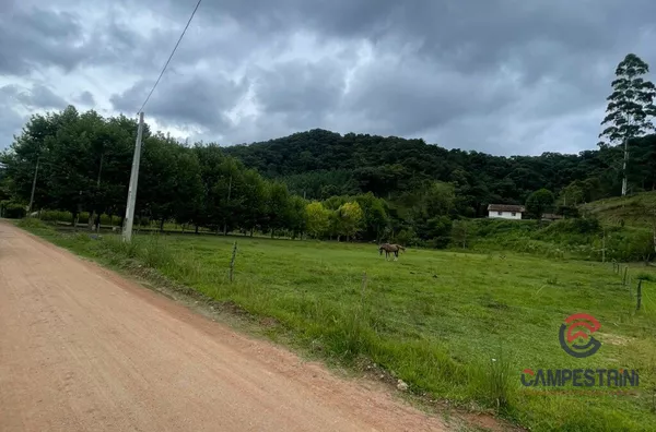 Terreno para venda,  Rio Rosina, Rio Dos Cedros