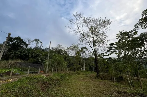 Terreno para ,  São Bernardo, Rio Dos Cedros
