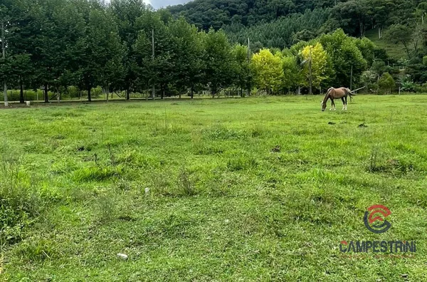 Terreno para venda,  Rio Rosina, Rio Dos Cedros