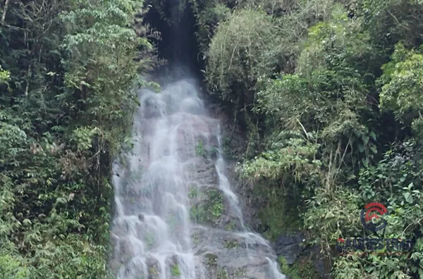 Terreno para venda, Rio Herta, Rio Dos Cedros