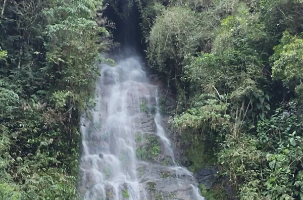 Terreno para venda, Rio Herta, Rio Dos Cedros