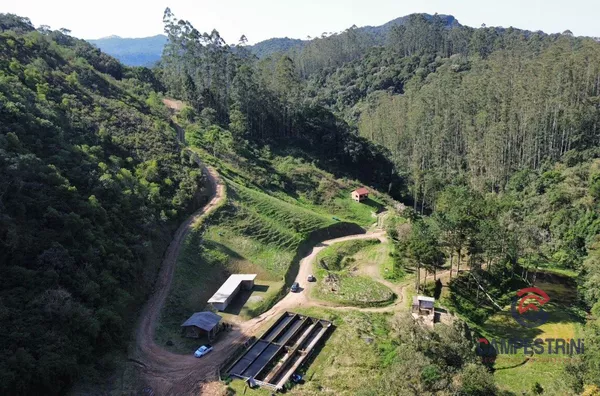 Terreno para venda, Rio Herta, Rio Dos Cedros