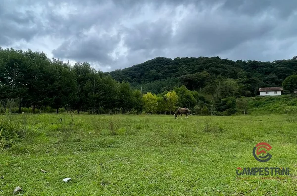 Terreno para venda,  Rio Rosina, Rio Dos Cedros
