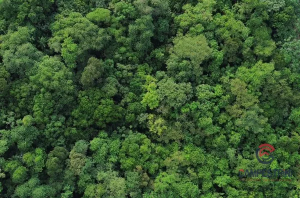Terreno para venda,  Divinéia, Rio Dos Cedros