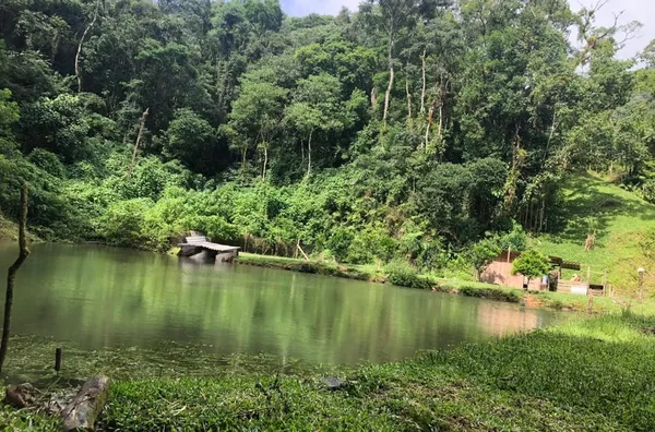 Sítio para venda 