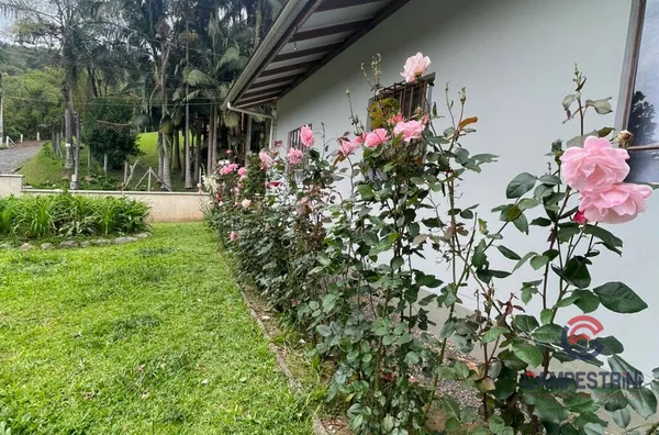 Casa para venda,  Palmeiras, Rio Dos Cedros