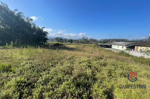 Terreno para ,  Divinéia, Rio Dos Cedros