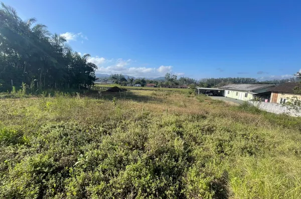 Terreno para ,  Divinéia, Rio Dos Cedros