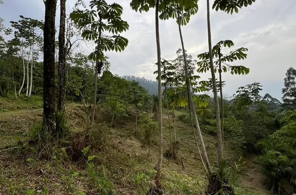 Terreno para ,  São Bernardo, Rio Dos Cedros