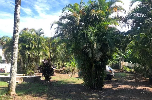 Terreno para venda 