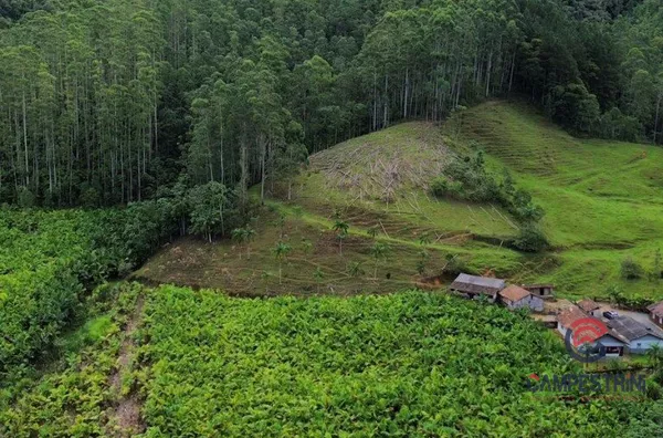 Sítio para venda,  Cedro Alto, Rio Dos Cedros