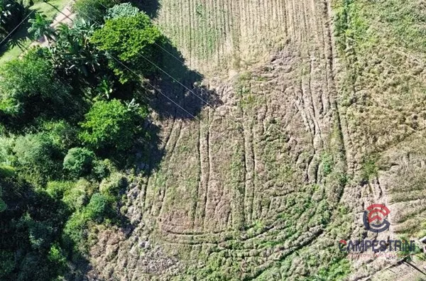 Terreno para venda,  Santo Antonio, Rio Dos Cedros