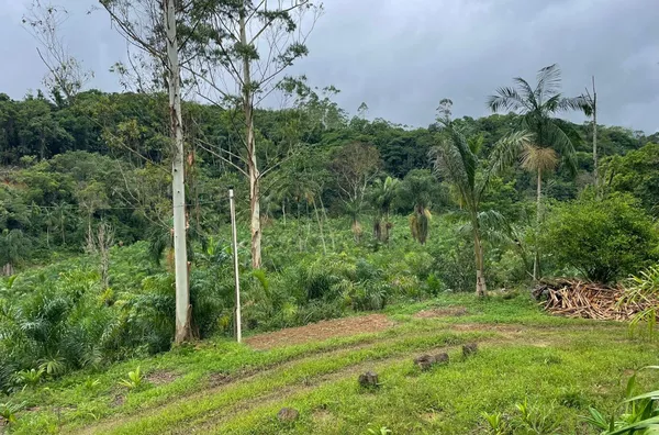 Sitio para venda
