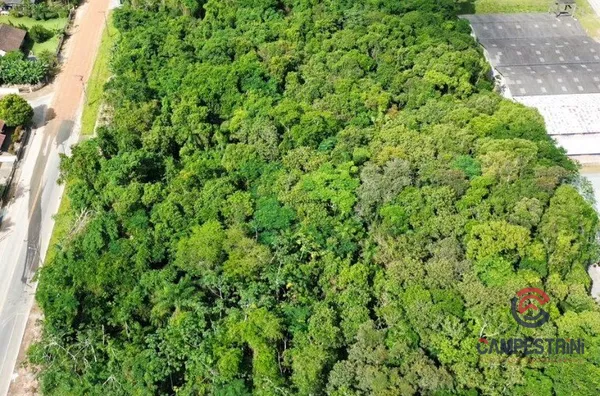 Terreno para ,  Divinéia, Rio Dos Cedros