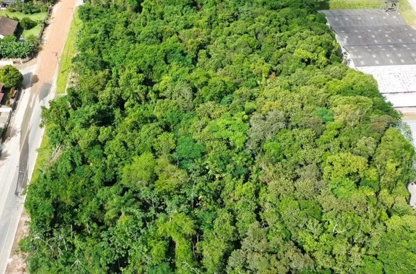 Terreno para ,  Divinéia, Rio Dos Cedros