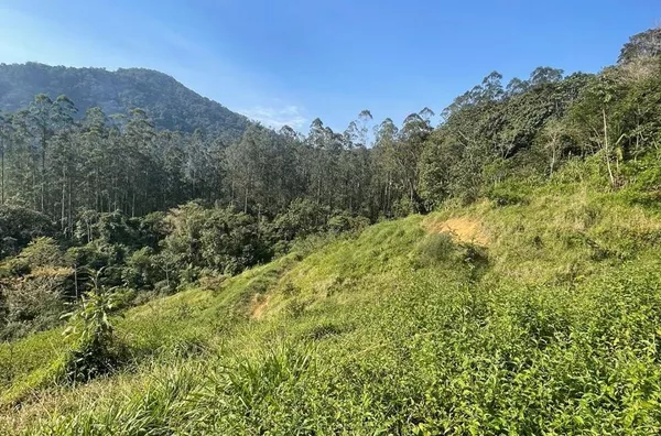 Sítio para venda