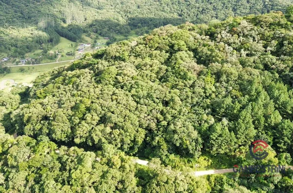 Sítio para venda,  Alto Rio Cunha, Rio Dos Cedros