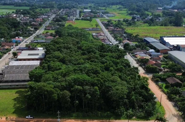 Terreno para ,  Divinéia, Rio Dos Cedros