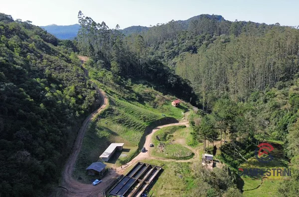 Terreno para venda, Rio Herta, Rio Dos Cedros