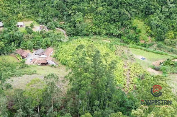 Sítio para venda,  Cedro Alto, Rio Dos Cedros