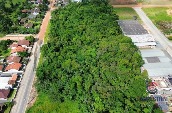 Terreno para ,  Divinéia, Rio Dos Cedros