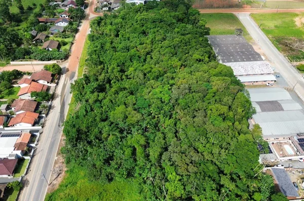 Terreno para ,  Divinéia, Rio Dos Cedros