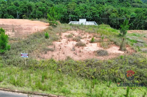 Terreno para venda, Divinéia, Rio Dos Cedros