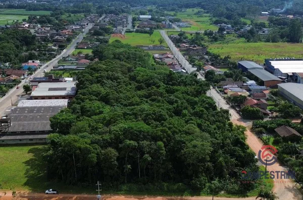 Terreno para ,  Divinéia, Rio Dos Cedros