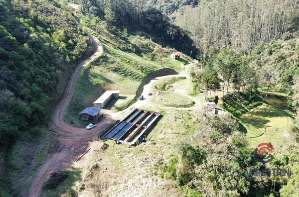 Terreno para venda, Rio Herta, Rio Dos Cedros