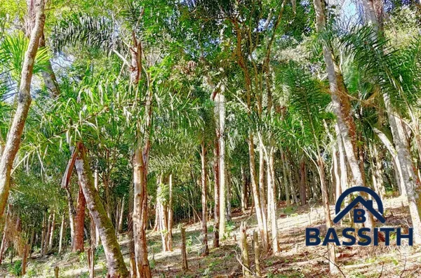 Terreno para Venda