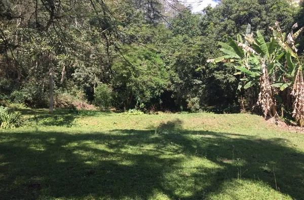 TERRENO DE 32000M2 NA VILA ORLANDÉLIA EM BARRA MANSA - Foto 6