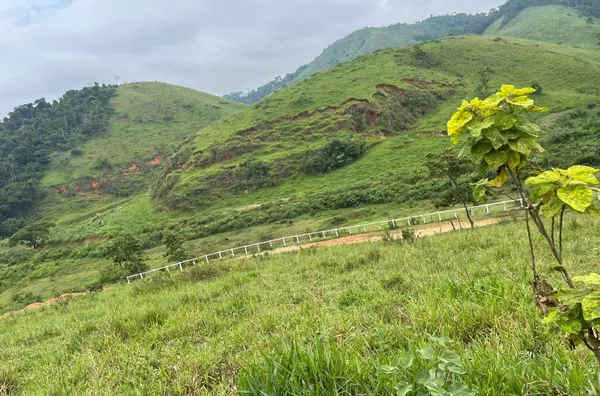 TERRENO A VENDA NO CLUBE HÍPICO FAZENDA BOA ESPERANÇA, EM AMPARO