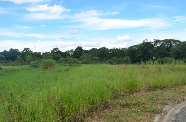 TERRENO DE 600M2 A VENDA EM PENEDO - Foto 3