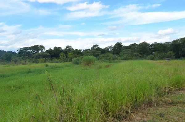 TERRENO DE 600M2 A VENDA EM PENEDO - Foto 4