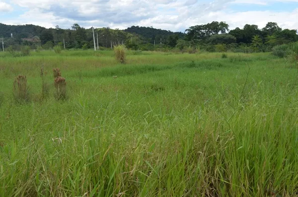 TERRENO DE 600M2 A VENDA EM PENEDO - Foto 5