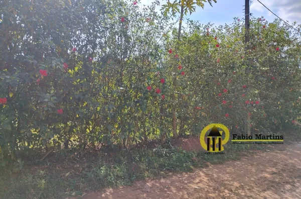 Terreno para venda,  Portal Dos Eucaliptos, Limeira