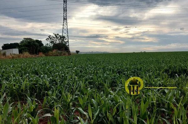 Terreno loteamento para venda,  ÁREA 22.000 METROS, AVENIDA RODOLFO KIVITZ, Felipadas, Nova Odessa
