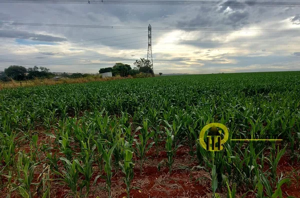 Terreno loteamento para venda,  ÁREA 22.000 METROS, AVENIDA RODOLFO KIVITZ, Felipadas, Nova Odessa