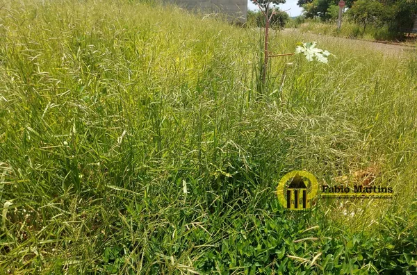 Terreno para venda,  Jardim Consteca, Sumaré