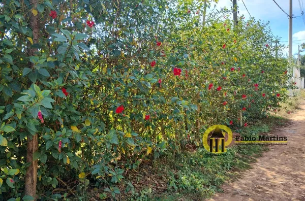 Terreno para venda,  Portal Dos Eucaliptos, Limeira