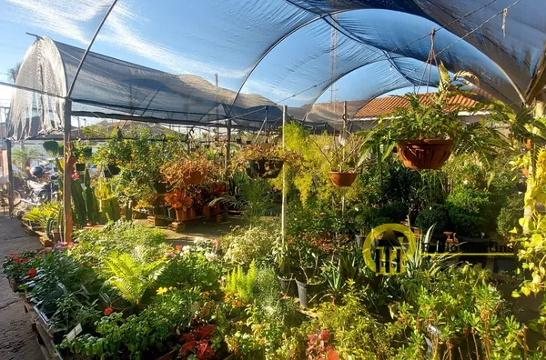 Terreno para venda,  Jardim Bela Vista, Nova Odessa