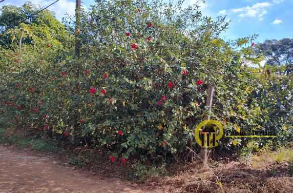 Terreno para venda,  Portal Dos Eucaliptos, Limeira