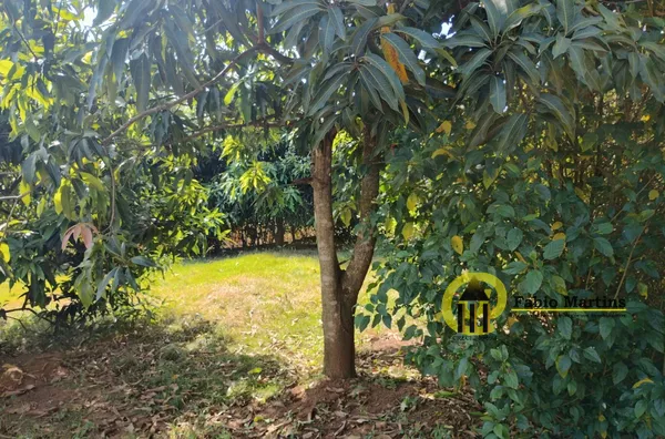 Terreno para venda,  Portal Dos Eucaliptos, Limeira